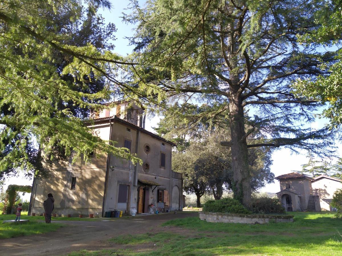 Agriturismo La Villetta San Lorenzo Nuovo Buitenkant foto