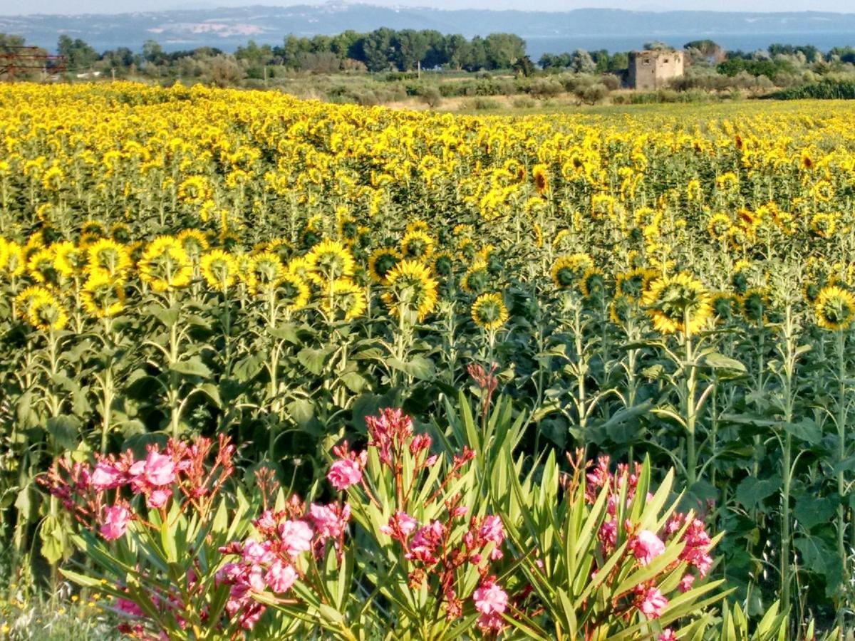 Agriturismo La Villetta San Lorenzo Nuovo Buitenkant foto