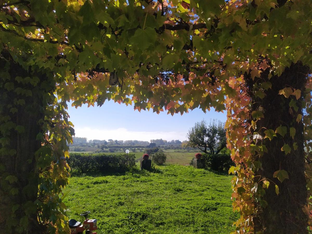 Agriturismo La Villetta San Lorenzo Nuovo Buitenkant foto