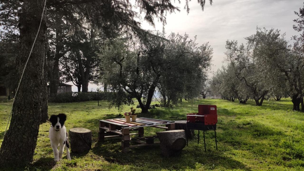 Agriturismo La Villetta San Lorenzo Nuovo Buitenkant foto