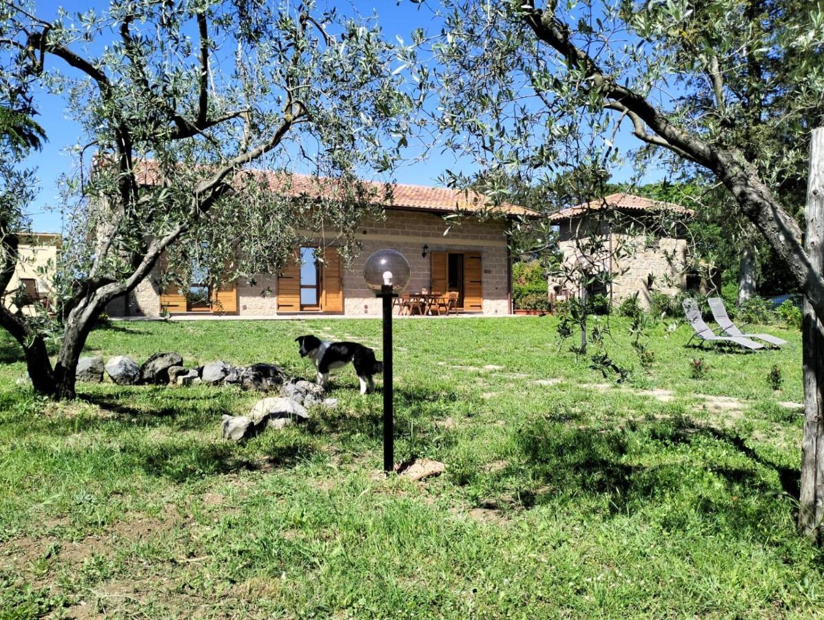 Agriturismo La Villetta San Lorenzo Nuovo Buitenkant foto